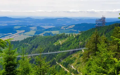 Widok na Dolní Morava most wiszący nad zielonymi lasami i wzgórzami. W oddali widać wieżę widokową.