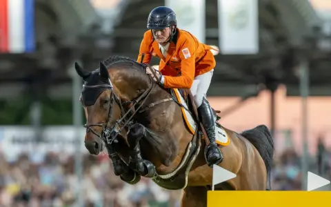 Cavalier néerlandais en tenue orange, en plein saut d'obstacles avec son cheval. Le **comthago vdl** semble prêt pour la victoire.