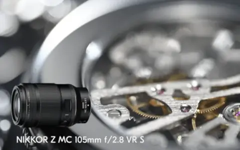 Najlepszy obiektyw do makro Nikon - wybierz idealny model dla siebie