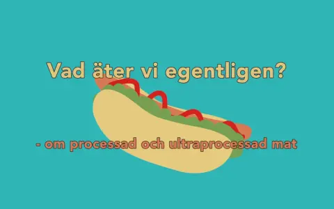 En illustration av en korv med bröd, med texten "Vad äter vi egentligen? - om processad och ultraprocessad mat".