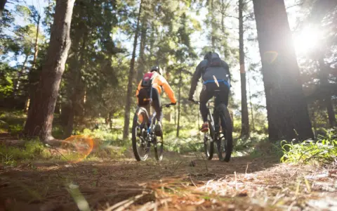 Dwóch rowerzystów przemierza leśną trasę w okolicach Leżajska. Słońce przebija się przez drzewa, tworząc magiczną atmosferę.