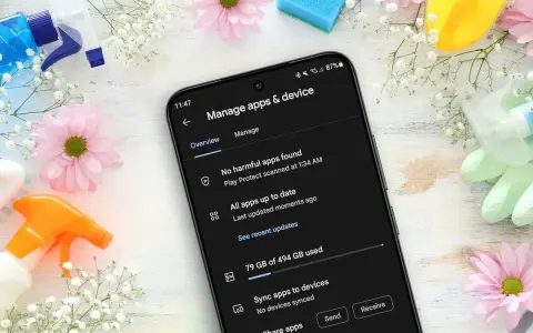 Handy Speicher voll: 79 GB von 494 GB belegt. Zeit für eine digitale Frühjahrsputz-Aktion mit Blumen und Reinigungsmitteln.