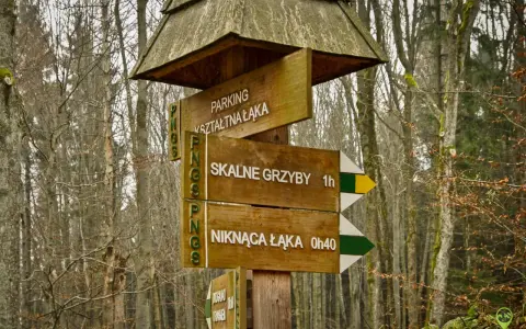 Drewniany drogowskaz w lesie wskazuje drogę do "SKALNE GRZYBY" (1h) i "NIKNĄCA ŁĄKA" (0h40).