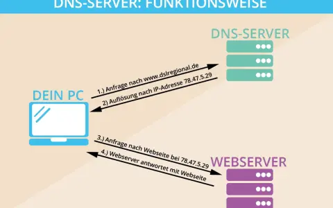 So funktioniert der DNS-Modus: Dein PC fragt den DNS-Server nach einer IP-Adresse, dann kontaktiert er den Webserver.