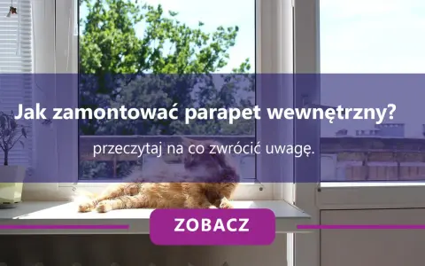 Kot na parapecie, a nad nim tekst: "Jak zamontować parapet wewnętrzny? Przeczytaj na co zwrócić uwagę.