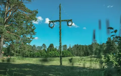 En midsommarstång i en grönskande äng, redo för fest. Här firar man midsommar med dans och sång.