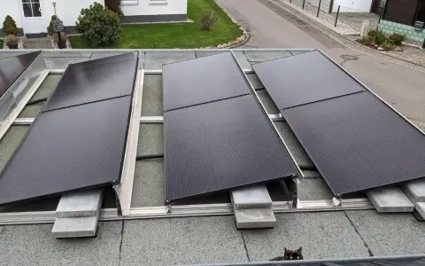 Solarmodule auf einem Bitumen-Flachdach, befestigt mit einer Aufständerung. Ein kleiner schwarzer Kater beobachtet die Installation.