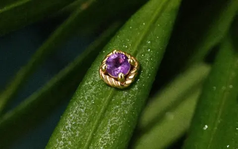 Złoty kolczyk z ametystem na zielonym liściu, symbolizujący **tragus gojenie**.