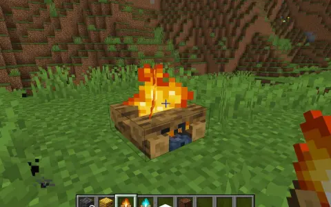 Minecraft: Gaszenie ogniska wszystkie metody i sekrety