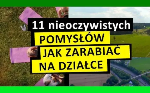 Jak zarobić na pustej działce? Sprawdzone sposoby i pomysły na dochód