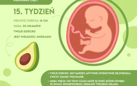 16. tydzień ciąży: Awokado w brzuchu! Co dzieje się z Tobą i dzieckiem?