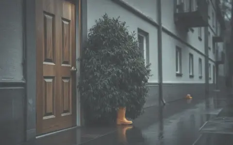 Czy partner może Cię wyrzucić z mieszkania? Poznaj swoje prawa