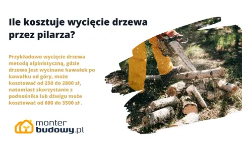 Drwal w żółtym ubraniu tnie piłą mechaniczną drewno na kawałki.