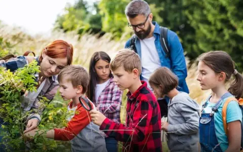 Ile zarabia wychowawca na kolonii? Zaskakujące różnice w wynagrodzeniu