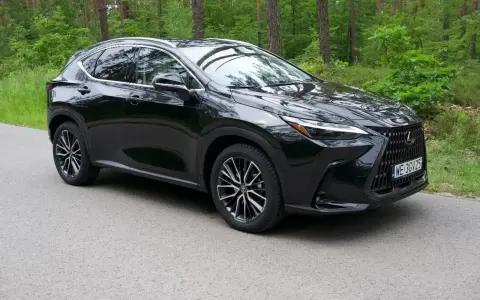 Lśniący czarny Lexus NX 2025 na tle zielonego lasu. Elegancki SUV gotowy na przygodę.