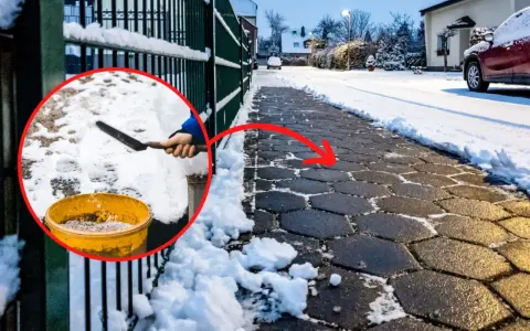 Czym posypywać chodniki zimą, aby uniknąć niebezpiecznych poślizgów?