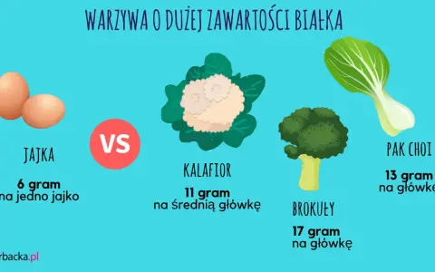 Warzywa o dużej zawartości białka: brokuły (17g/główkę), pak choi (13g/główkę), kalafior (11g/średnią główkę) i jajka (6g/jajko).