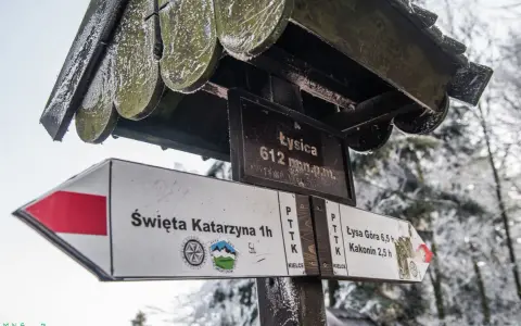 Znak szlaku łysica - kakonin. Wskazuje drogę do Świętej Katarzyny, Łysej Góry i Kakonina.
