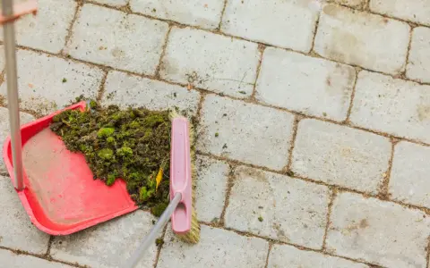 Szczotka zgarnia **mech na kostce** do czerwonej szufelki.