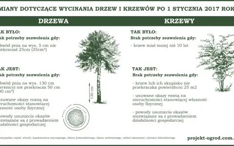 Ilustracja drzewa i krzewu z wymiarami obwodu pnia i powierzchni krzewu.