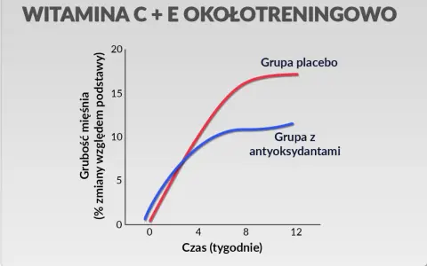 Wykres pokazuje, że witamina C po treningu w połączeniu z antyoksydantami wpływa na przyrost masy mięśniowej.