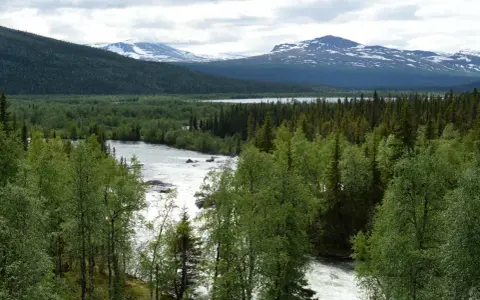 Vacker vy över forsande vatten och grönskande skog vid STF Kvikkjokk. Snöklädda fjäll i bakgrunden.