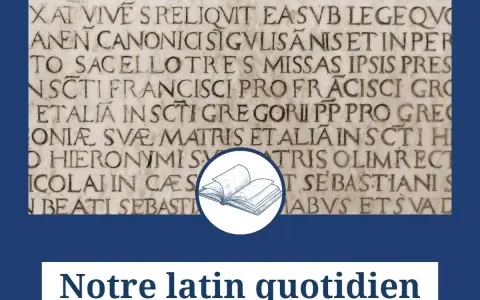 Texte latin gravé sur pierre, rappelant que l'apprentissage est un *bis repetita* pour notre latin quotidien.
