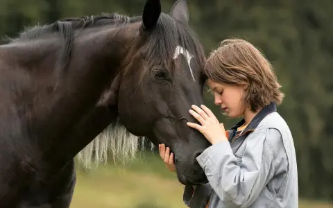 Wzruszająca scena z filmu o koniach: dziewczynka przytula się do ciemnego konia, czując jego ciepło i siłę.