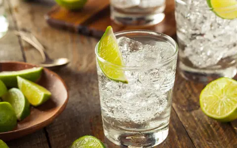 Erfrischender Gin Tonic mit Eis und Limettenspalten. So trinkt man Gin am besten: pur, mit Tonic und frischer Limette.