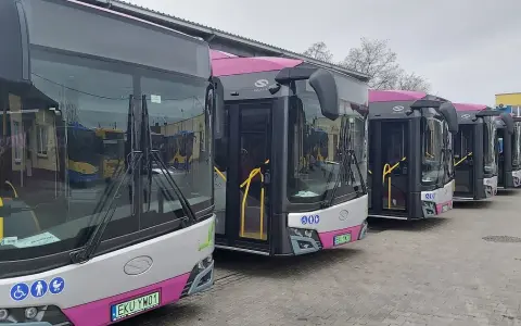 Rozkład jazdy MZK Kutno – aktualne trasy i godziny odjazdów