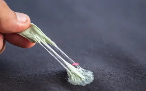 Palec odrywa rozciągniętą, zieloną gumę do żucia od ciemnego materiału. Dowiedz się, jak usunąć gumę do żucia z ubrania.