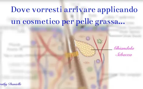Illustrazione anatomica della pelle, con focus sulla ghiandola sebacea, per un efficace trattamento pelle grassa.