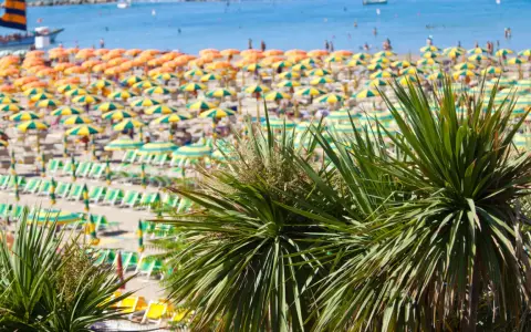 Palme verdi in primo piano su una spiaggia affollata della riviera romagnola, con ombrelloni gialli e arancioni e il mare azzurro sullo sfondo.