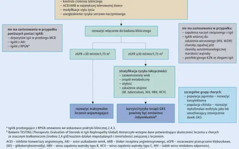 Algorytm postępowania w nefropatii IgA, gdy białkomocz >1 g/d. Jak poprawić przesączanie kłębuszkowe? Rozważ włączenie do badania klinicznego.
