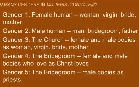 List of genders in Mulieris Dignitatem: Female human (woman, virgin, bride, mother), male human, the Church as bride, the Bridegroom, and male bodies as priests.