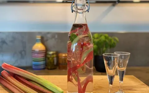Rabarber snaps i en flaska med färska rabarberstjälkar. Två små glas står redo för att avnjutas.
