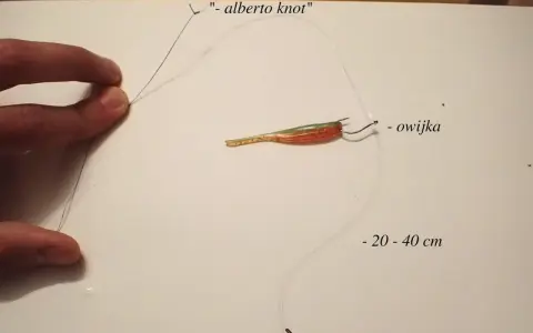 Jak zrobić zestaw drop shot: pokazano wędkę z przynętą, haczyk z owijką i ciężarek.