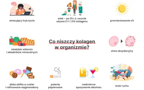 Stres, wiek, UV, niedobory, cukier, papierosy, alkohol i brak ruchu to czynniki, które niszczą kolagen w organizmie.