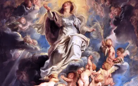 Wniebowzięcie Najświętszej Maryi Panny wśród aniołów i chmur. Jej postać otoczona jest blaskiem, a wokół niej unoszą się liczne putta.