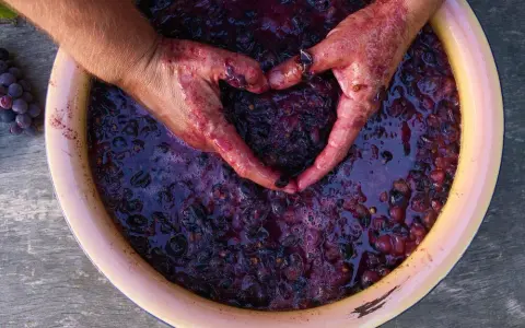 Domowe wino z winogron: Przepis krok po kroku dla początkujących