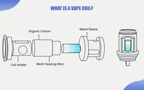 Diagrama de una **mesh coil** de vapeador, mostrando el soporte, algodón orgánico, alambre de calentamiento de malla y la funda metálica.