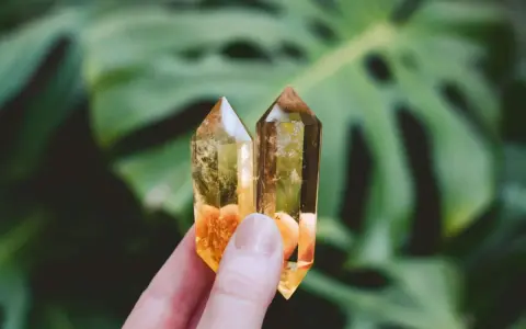 Due cristalli di quarzo giallo, luminosi e trasparenti, tenuti tra le dita, con foglie verdi sfocate sullo sfondo.
