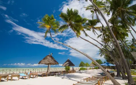 Rajska plaża z palmami i leżakami. Zastanawiasz się, ile się leci na Zanzibar? Tu odpoczniesz od zgiełku.