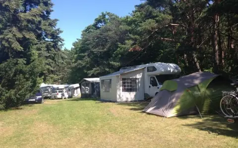 Caravaning w Juracie: kamper, namiot i samochody na zielonym polu pod drzewami.