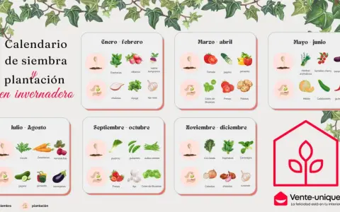 Calendario de siembra y plantación en invernadero, con cultivos para cada mes del año.