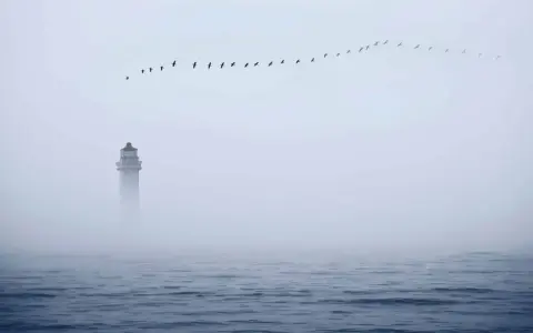 Ein Leuchtturm ragt aus dichtem Nebel, während eine Vogelschar über dem ruhigen Meerformationen zieht. Ein einsames Schiff im Nebel.