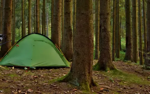 Zielony namiot i rowery czekają na nocleg pod namiotem w gęstym lesie.