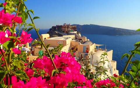 Vibrant pink bougainvillea frames a view of Santorini, Greece. People gather on ancient ruins overlooking the Aegean Sea, a perfect spot for sunset views.