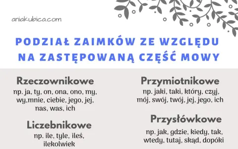 Podział zaimków ze względu na zastępowaną część mowy: rzeczownikowe, liczebnikowe, przymiotnikowe, przysłówkowe.