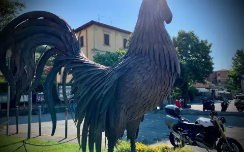 Gallo di metallo imponente, pronto per un giro in moto tra le Crete Senesi.
